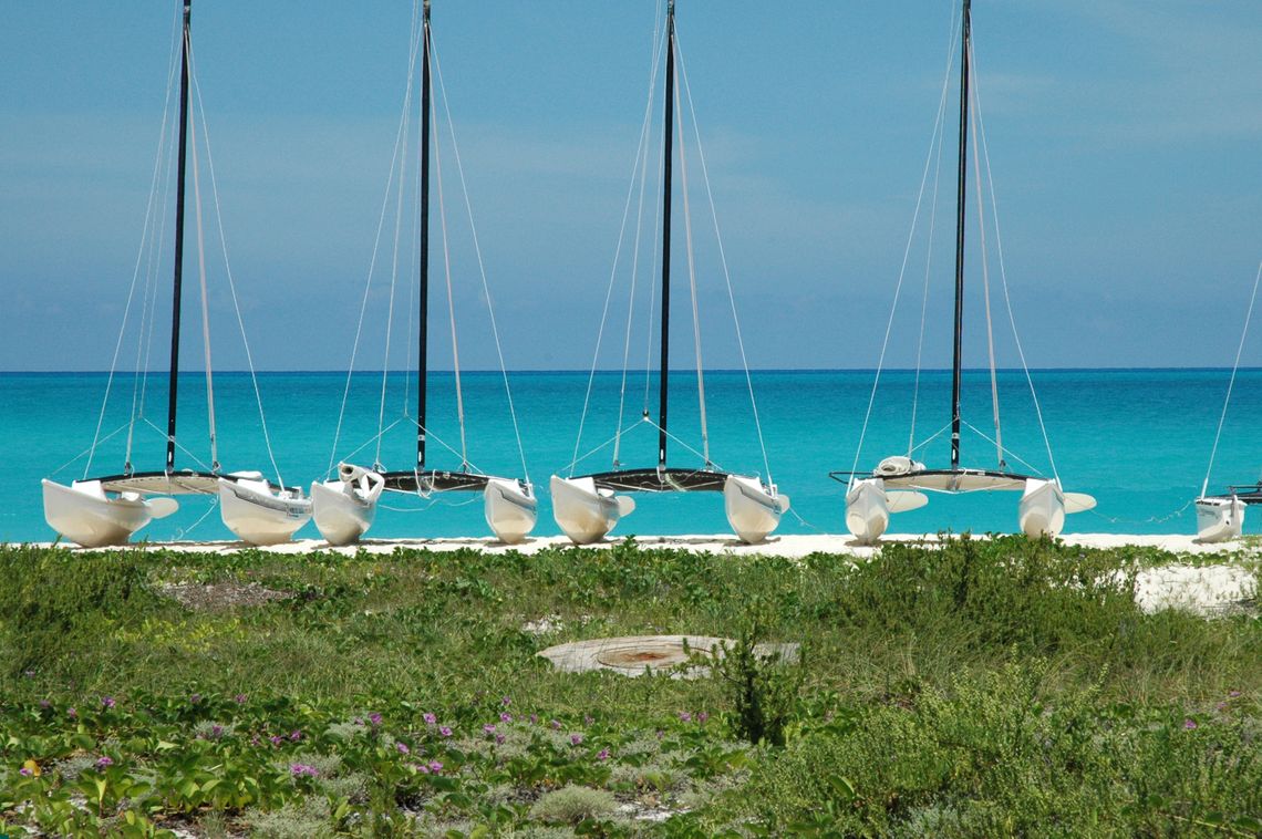 Four yachts in a line